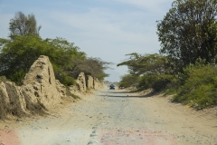 07 (1)