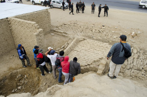 Algarrobal de Moro - 1